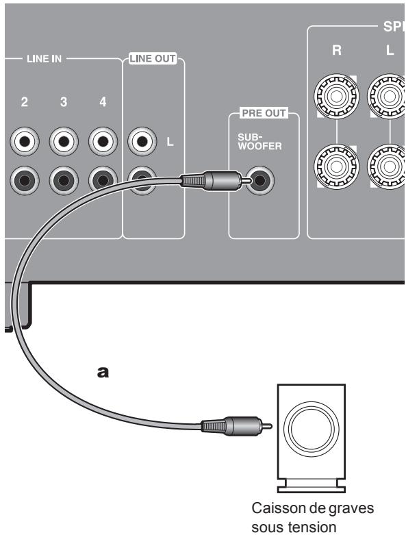 ONKYO A-9110-B - Raccordement d'un caisson de basse sous tension - 1