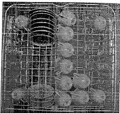 VEDETTE VLA940 - Indications pour laboratoire d'essais - 4
