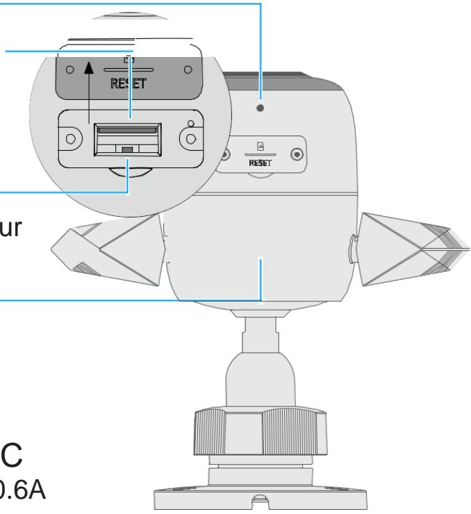 TP-LINK C310 - Panneau Arrière - 1