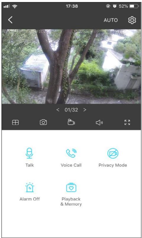 TP-LINK C310 - Live View - 1
