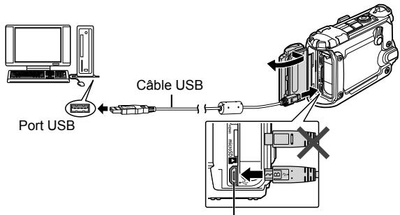 OLYMPUS V104180EE000 - Connexion de l'appareil photo - 1