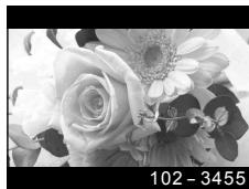 OLYMPUS V104180EE000 - Affichage de photographies - 3