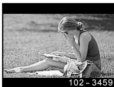 OLYMPUS V104180EE000 - Dans la liste des vignettes, mettez en surbrillance l'image que vous souhaitez supprimer et appuyez sur la touche MENU. - 2