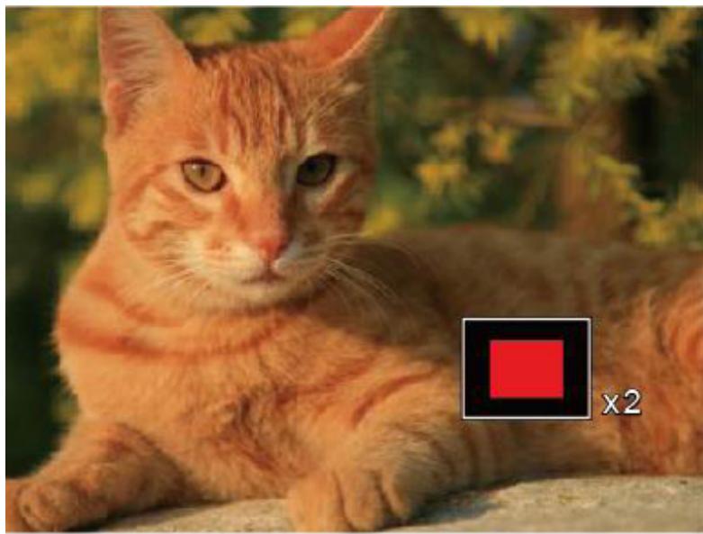 KODAK FZ51 BLACK - Utilisation du zoom sur les images déjà prises (images fixes seulement) - 2
