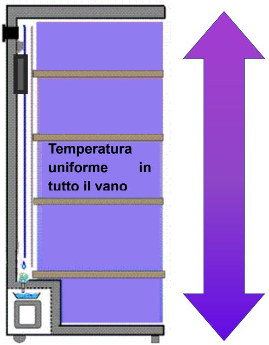 DARRY CPW204B1 - Frigo cantina mono-compartmento multitemperatura: - 2