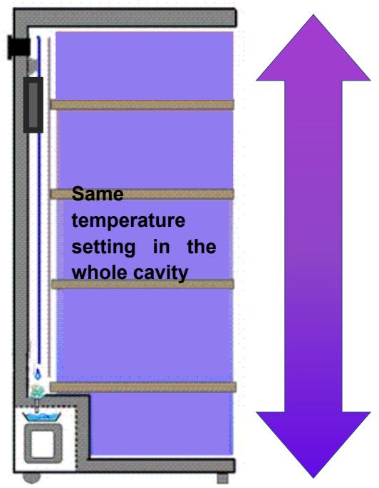 DARRY CPW204B1 - DESCRIPTION OF THE APPLIANCE - 4