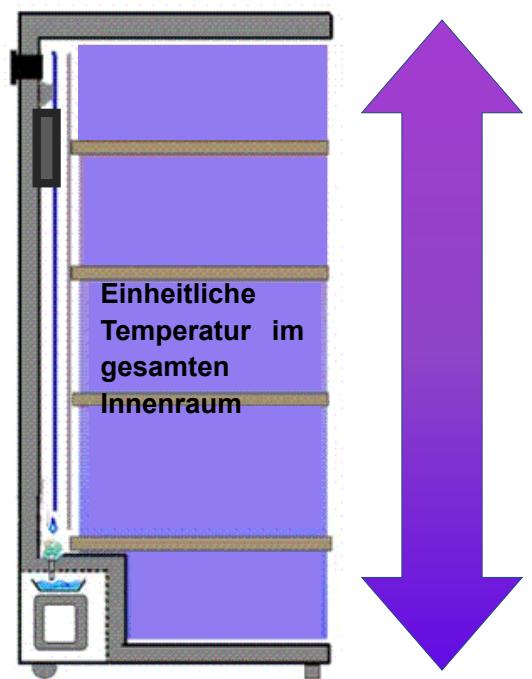 DARRY CPW204B1 - Einzelraum Weinkeller mit Einzeltemperatur: - 1