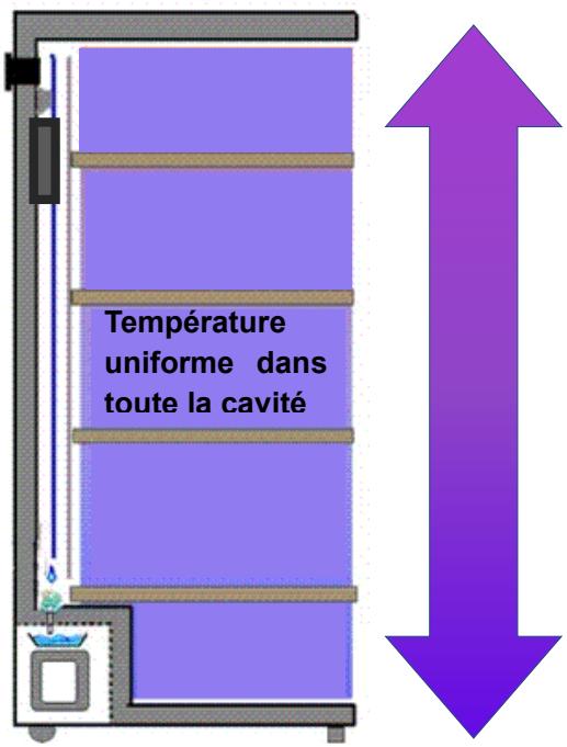 DARRY CPW204B1 - 2.DESCRIPTION DE L'APPAREIL - 4