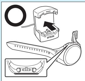 EPSON E11E203213 - Important : - 1