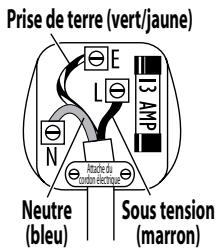 RUSSEL HOBBS 15085-56 DECO GRIL - connexion - 1