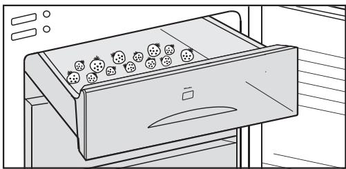 MIELE FN3402 - Utilisation du plateau de congélation - 1