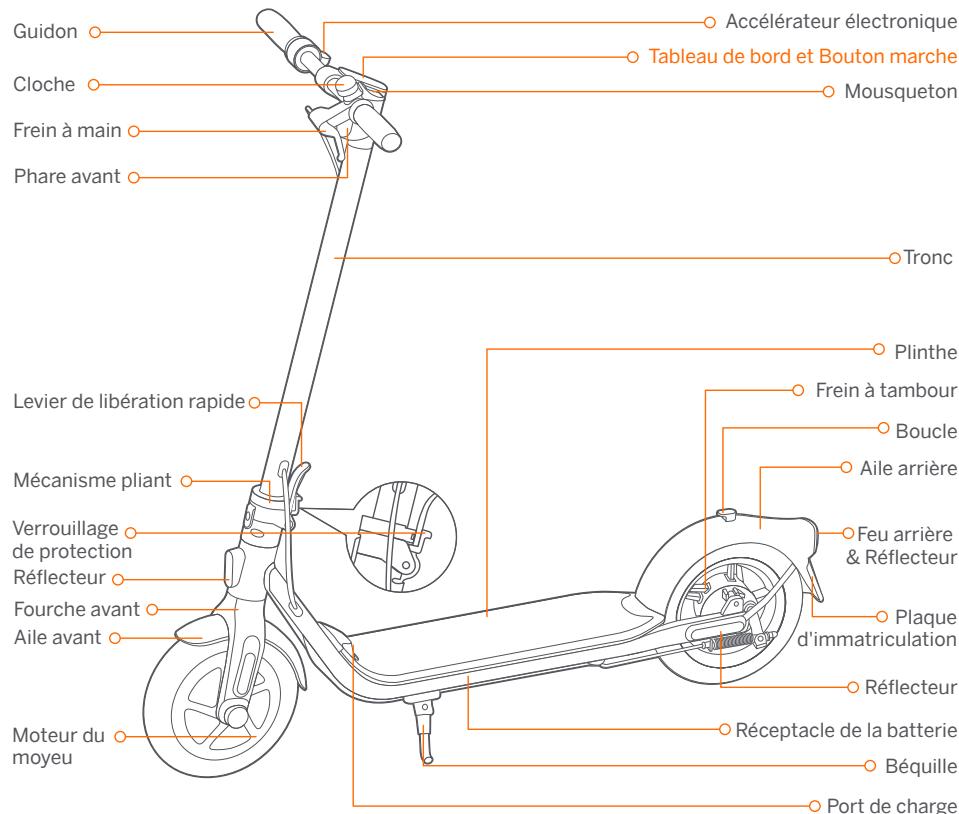 NINEBOT D18E - Diagramme - 1