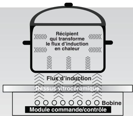 ROSIERES RPI 337 NOIR - RACCORDEMENT ELECTRIQUE - 3