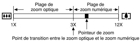 CASIO EXILIUM EX-S 500G - ■ Prendre une photo avec le zoom numérique - 2