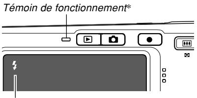 CASIO EXILIUM EX-S 500G - Etat du flash - 1