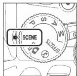 NIKON D5500+AF-P 18-55 - Réglages adaptés au sujet ou à la situation (mode scène) - 1