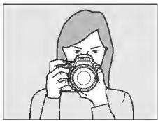 NIKON D5500+AF-P 18-55 - Cadrage des photos à l'aide du moniteur - 2
