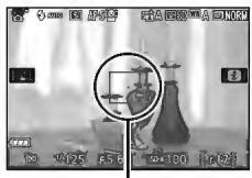 NIKON D5500+AF-P 18-55 - Cadrage des photos à l'aide du moniteur - 6