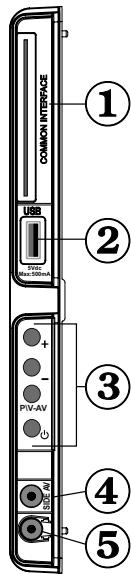 BRANDT B2211 LED FHD - Affichage des branchements - Connecteurs latéraux - 1