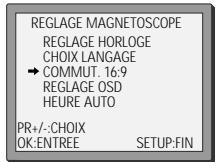 DAEWOO SG 9100 S ARGENT - Lecture / enregistrement du format 16:9 - 1