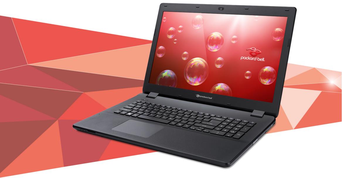 PACKARD BELL EN LG81BA-COYX - Packard bell easynote LG manuel d'utilisation - 1