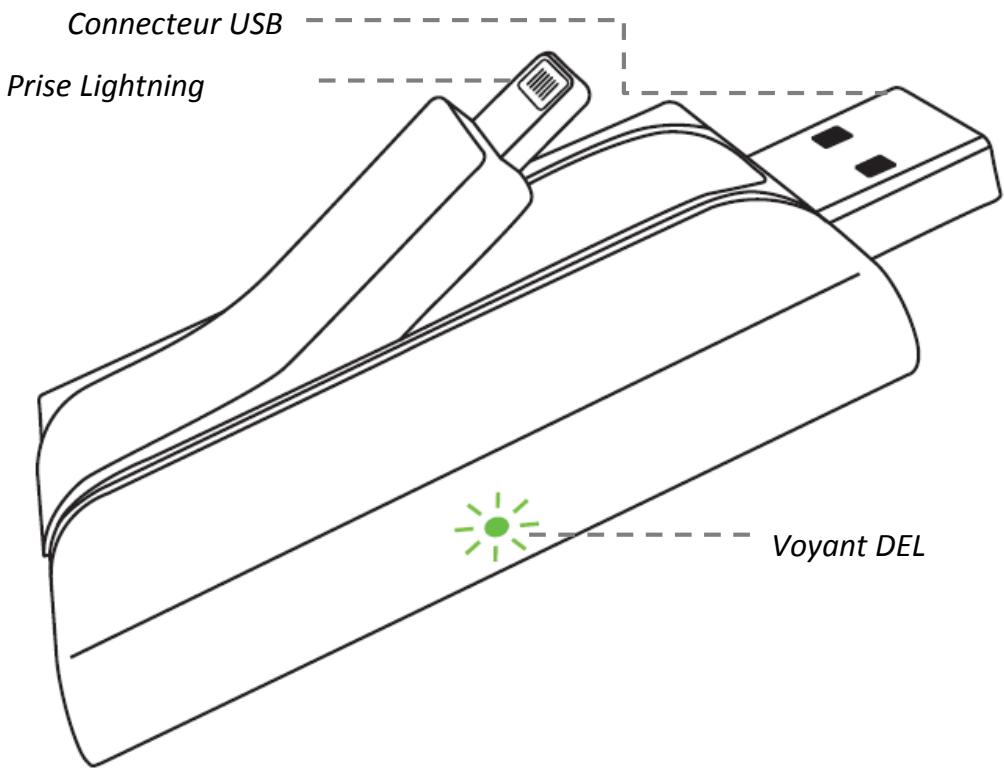 SANDISK OTG LiGH iXPAND 16GB - Introduction - 1