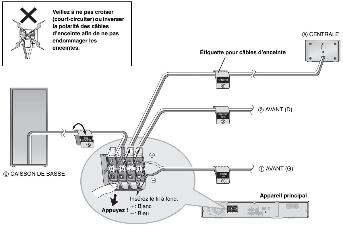 PANASONIC SC-HT 545 WEG - ■ Mise en place des supports d'enceinte (non fournis) - 3