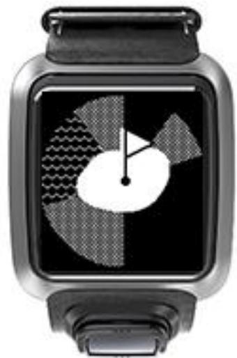 TOMTOM GOLFER GRiSE - Vues du lay-up et du green - 2