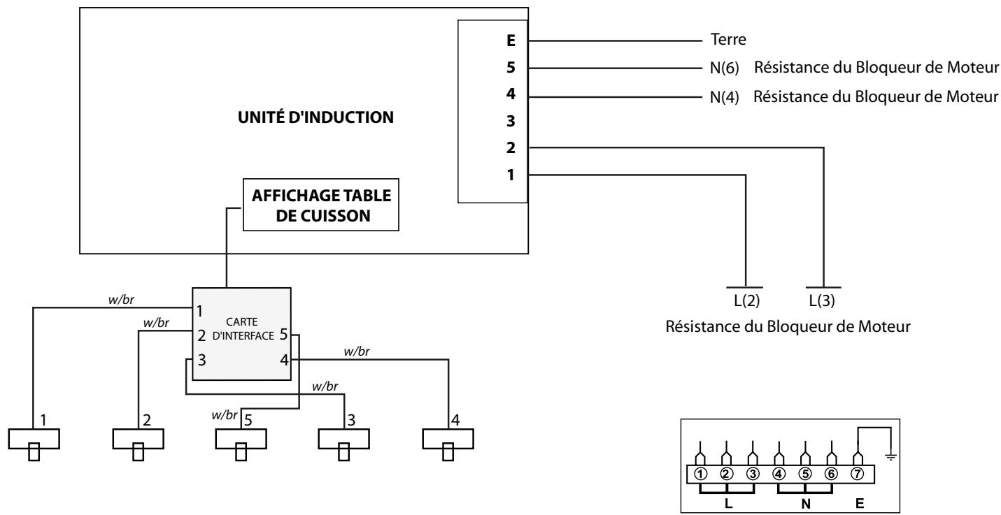 FALCON HI-LITE 90 INDUCTION - Scheme de Câblage : Table de Cuisson - 1