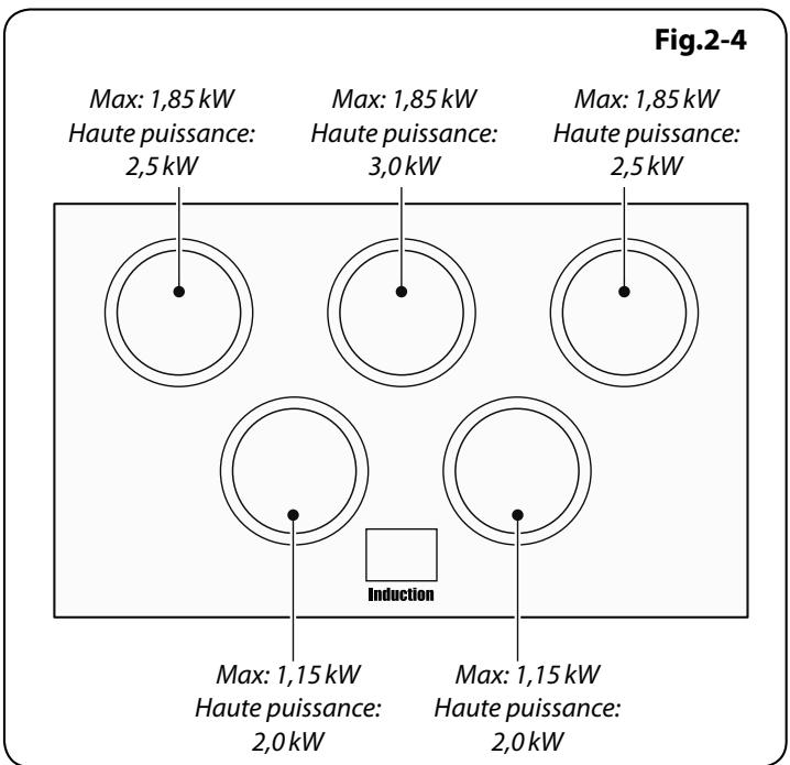 FALCON HI-LITE 90 INDUCTION - Détction de Récipient de Cuisson, - 1
