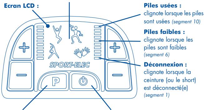 SPORT BCS4 - BODY CONTROL 4 - 2