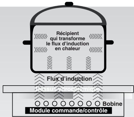 ROSIERES RBI 647 NOIR - RACCORDEMENT ELECTRIQUE - 9