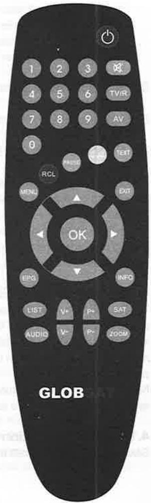 GLOBSAT GS 1001 - Telecommande - 1