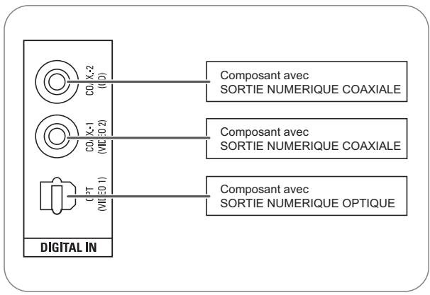 SHERWOOD RD6505 - RACCORDEMENT D'ENTREES NUMERIQUES (DIGITAL IN) - 1