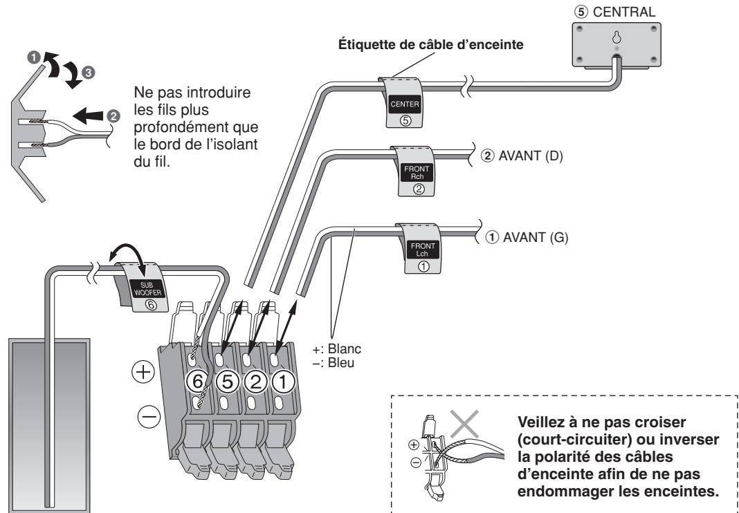 PANASONIC SC-PT 350 WEG - Raccorder les enceintes. - 1