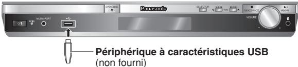 PANASONIC SC-PT 350 WEG - Connecter le périphérique de stockage de masse USB (non fourni) - 1