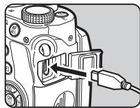 PENTAX KP - Copie d'une image sur la carte mémoire - 1