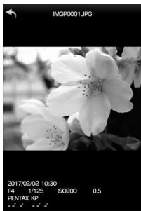 PENTAX KP - Visualisation des images - 2