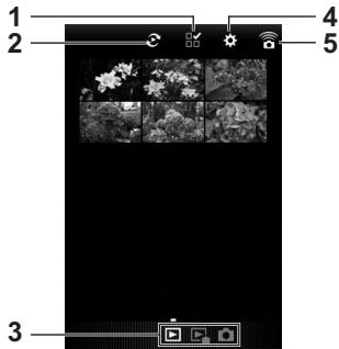 PENTAX KP - Visualisation des images - 1