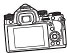 PENTAX KP - Examples de niveau électronique dans le viseur - 3