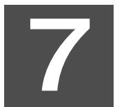 BOSER 3.2.1 GS SILVER - Si: - 4