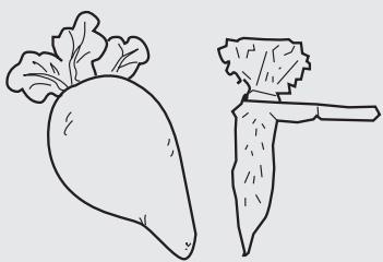 HAIER AFL-631CO-FC - Conseils concernant le stockage d'aliments dans le compartment de stockage du réfrigérateur - 1