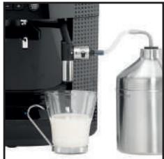 KRUPS EA81M870 - KRUPS - 37
