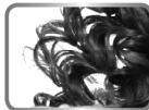 BABYLISS 2715E BELISS - 3