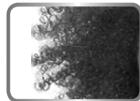 BABYLISS 2715E BELISS - 4