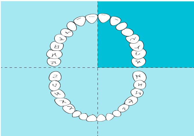 FOREO iSSA Mini Summer Sky - ROUTINE DE BROSSAGE RECOMMANDÉE - 2