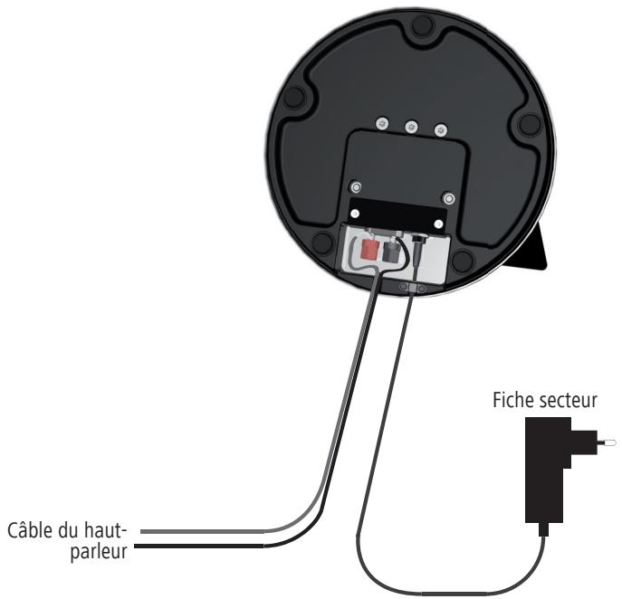 LOEWE 69204 U 00 - Connexion du haut-parleur à la source audio - 1