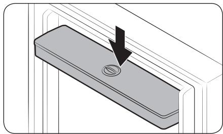 SAMSUNG RT31CG5624S9 - Distributeur d'eau (modèlees applicables uniquement) - 3