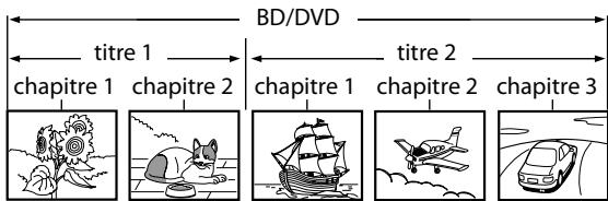 MARANTZ BD8002 - Structure du Contenu du Disque/de la Carte Mémoire SD - 1