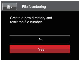KODAK APN_Bridge_Digital_AZ528 - File Numbering - 1
